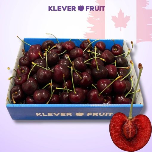 Cherry Jumbo Canada Size 9.5 Row (28-30mm)- Canadian Cherry