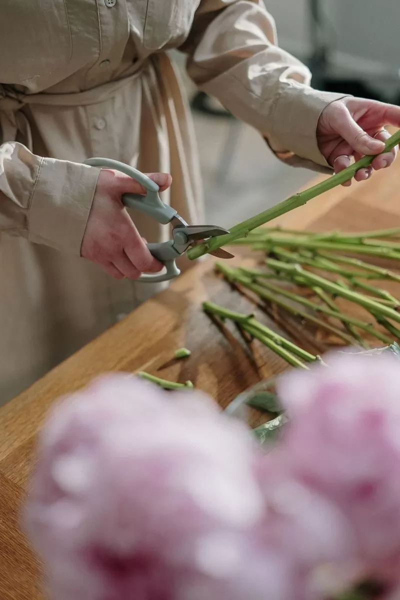 Cách Giữ Hoa Tươi Lâu Hơn Sau Khi Mua Về – Bí Quyết Để Vẻ Đẹp Bền Lâu 2 cách giữ hoa tươi lâu hơn